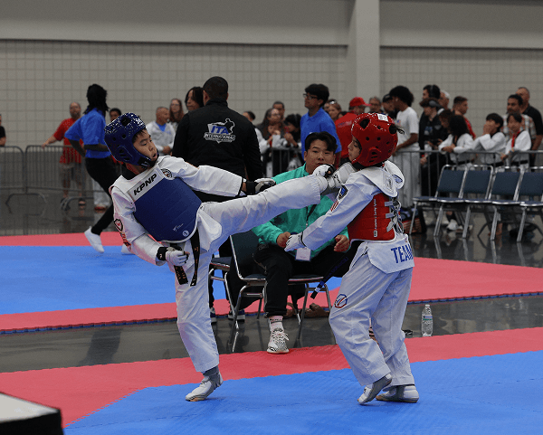 What is Tae Kwon Do?